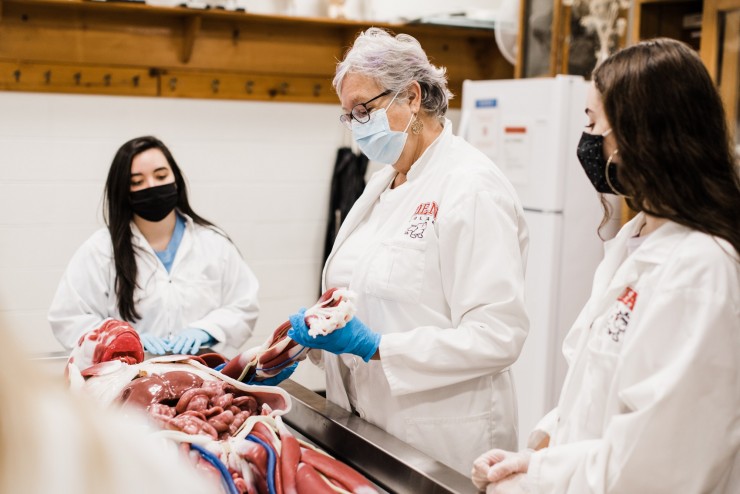 Dean College students looking at a SynDaver
