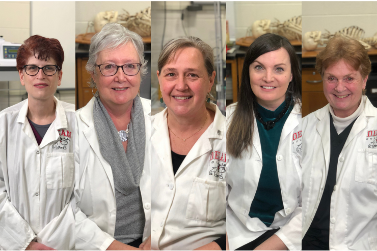 Dean College faculty