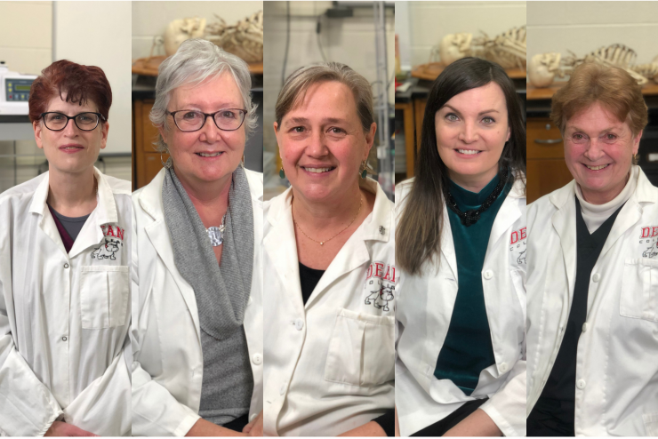 Dean College faculty