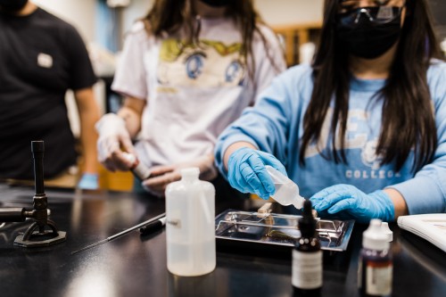 A Dean College student learning during a Criminal Justice and Homeland Security class.