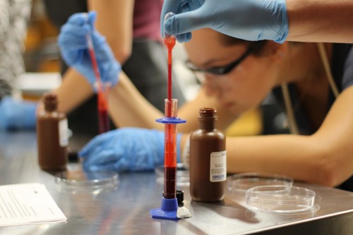 Dean College student working in a lab