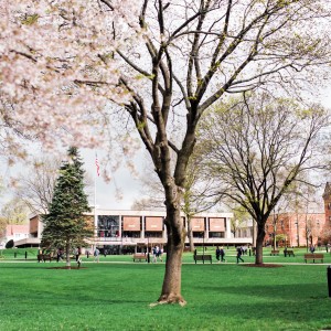 dean college library.