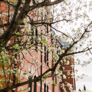 trees on a spring day on the dean college campus.