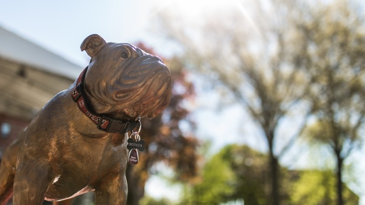 Bulldog statue at Dean College