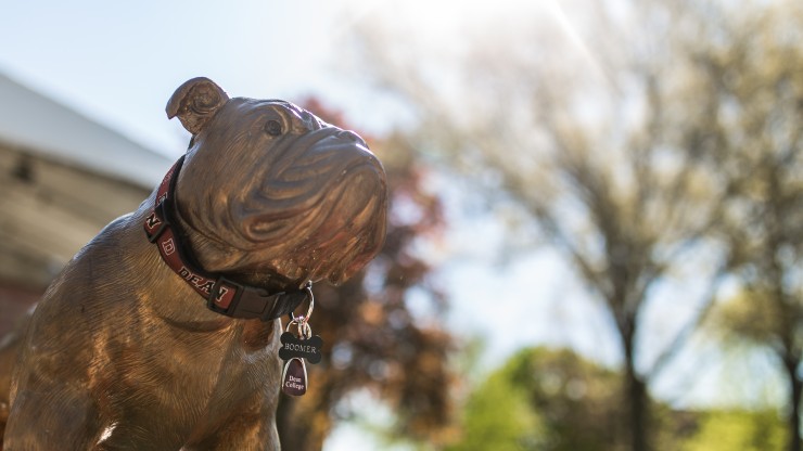 Bronze statue of Boomer the bulldog, the Dean College mascot, on a fall day.