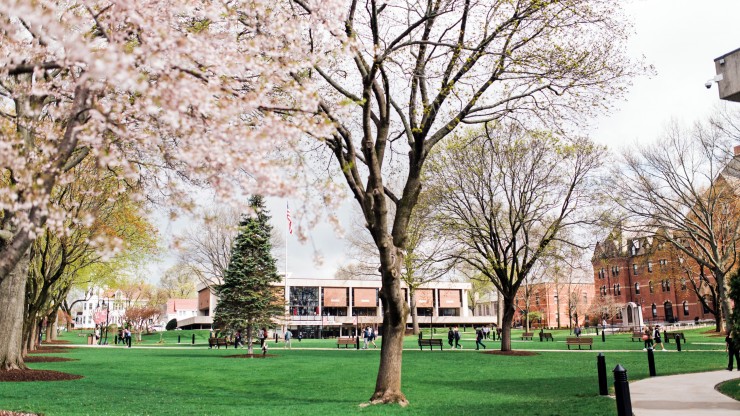 Ƶ Campus in the spring