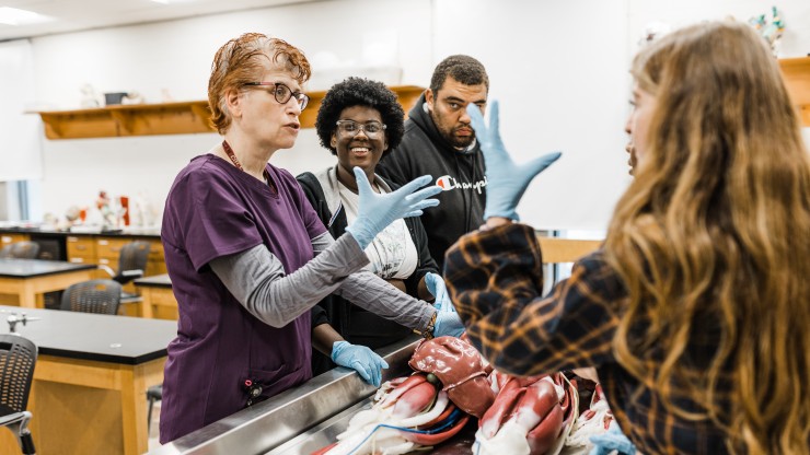 Dean College students working with professor in science lab during their pre-physician assistant program in Massachusetts