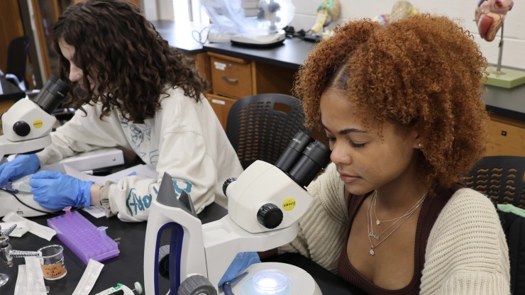 Students are peering into microscopes in a lab room.