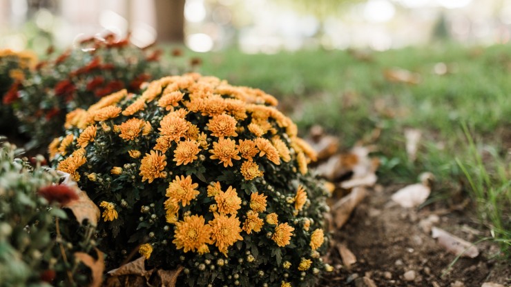 Academic Calendar | Dean College academic-calendar-dean-college