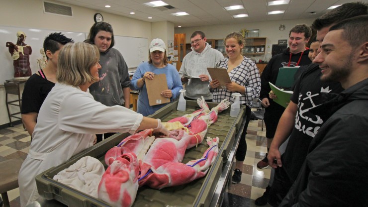 An instructor and students surrounding a syndaver, a synthetic human cadaver, during a lab.